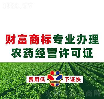 �r(n��ng)ˎ��(j��ng)�I�S���C�k��-ؔ���̘�