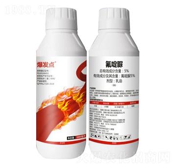 5%�����-���l(f��)�c(di��n)������棩-��֮��