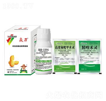 �����������݄����b �͵� �����Ѻ�