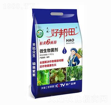 ���S6�A�� �ð��� ��T