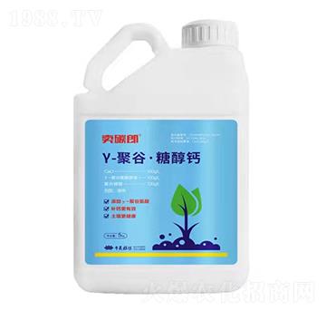 ��-�۹ȡ��Ǵ��} �u̼�� ǧ��ֲ��