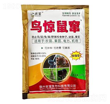 �B�@��Z-�r������