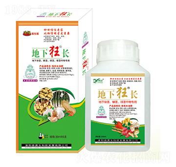 ���K�o���[�o�����o����� ���¿��L(zh��ng) ����