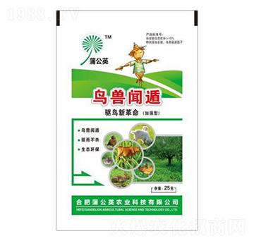 �ӏ����B�F�� �ѹ�Ӣ�r�I(y��)