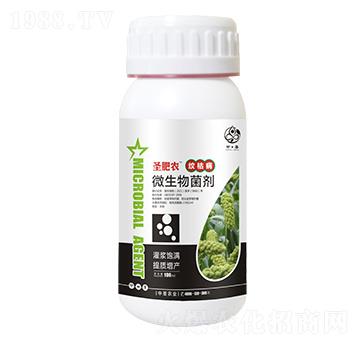 ƿ�b�y�ݲ�����΢�������-ʥ���r(n��ng)-��ʥ�r(n��ng)�I(y��)