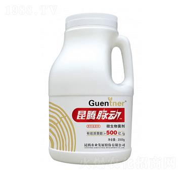 ΢�������-���v�}��-���v�r�I(y��)