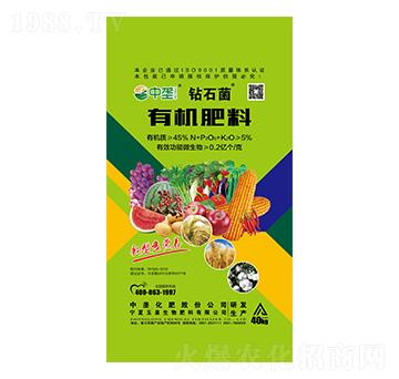 �ЙC����-�@ʯ��-�Љ�