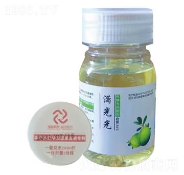 ���ٚ�������-�M���-�a������