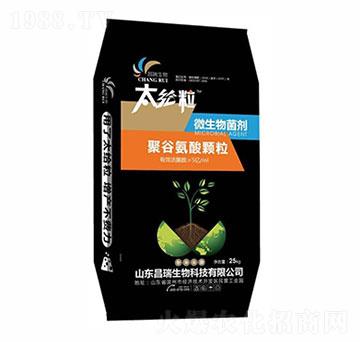 �۹Ȱ������-ɽ�|����