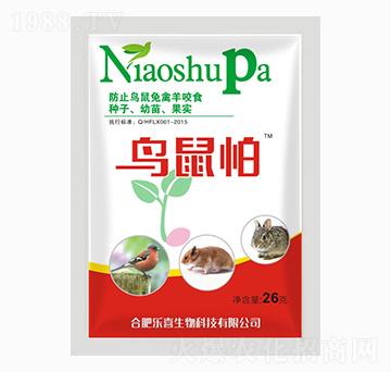 �B����-�����r�I(y��)