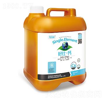 5L���ˡ��}-���˼�