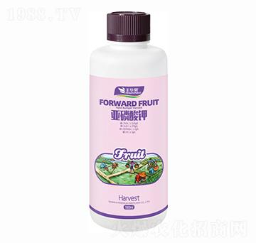 �������-�S�A��-�S�A�ʘI(y��)