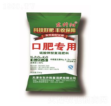 �ڷʌ���������͏�(f��)�����8-22-5-�|���