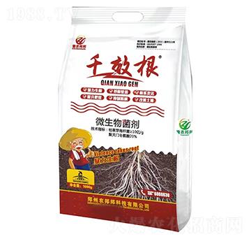 ΢�������-ԥ�r���