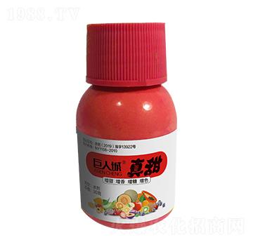 ����-���˳�