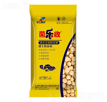 ΢�������-������-��t���H