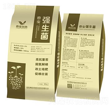 ��(qi��ng)����-̩������