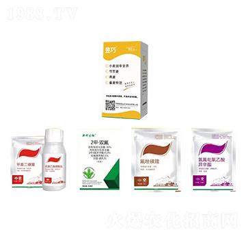 С����ȫ���ͳ��݄�-����-�����_(d��)