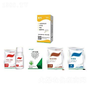 ����С�����ȫ���M�����b-�����_(d��)