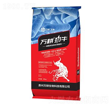 ̼ø����΢�������-�f����ţ-�f������