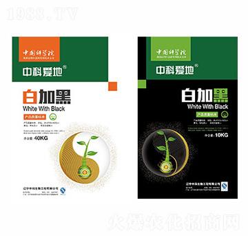 �пƐ�(��i)�ذ׼Ӻ�ϵ���ײͷ�-�п�