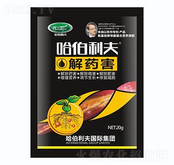 ��ˎ��-��������