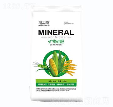 ��������������-����ʘI(y��)