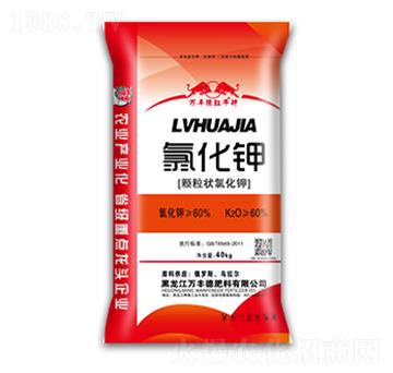 �w�����Ȼ��-�f�S��