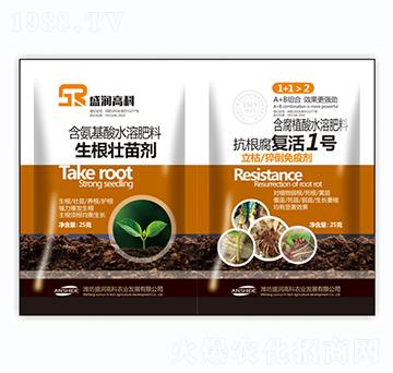 �������焩+�������ͻ�1̖-ʢ���߿�