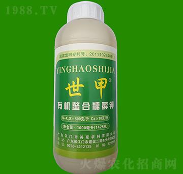 1000ml�ЙC(j��)�����Ǵ��-����-Ӣ��