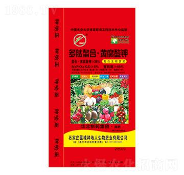 ���������S�����-�N����