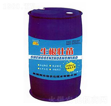 ��������-�|�r����