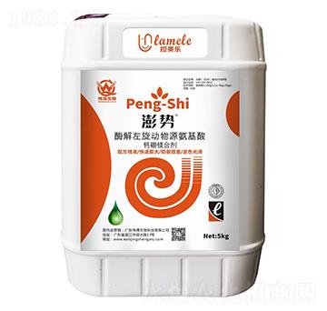 ø���������ﰱ�����}���V�τ�-���-��������