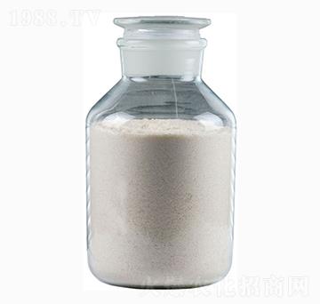 DA-6�}-�������