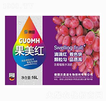 �����t-�G��