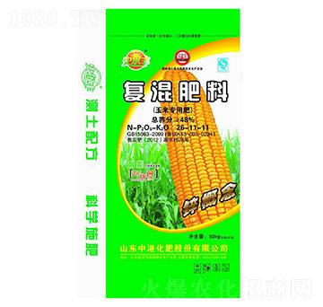 ���׌��Ï�(f��)�����26-11-11-�иۻ���