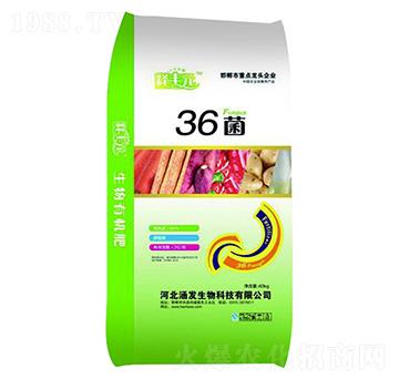 36��-��SԪ-���l(f��)����