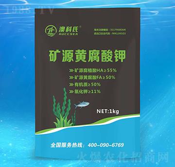 �VԴ�S�����-�Ŀ��Ϻ����