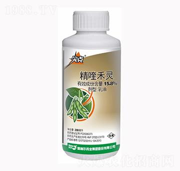 15.8%��୺��`-���-������