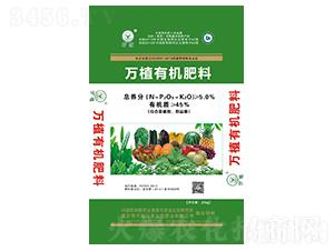 45%�ЙC����-�fֲ