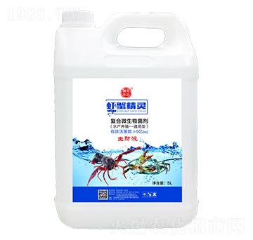 �ͺ�΢�������-�rз���`-¡������