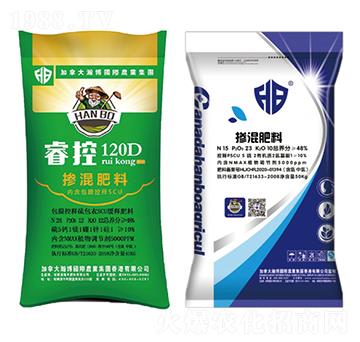 ���ؓ������-¡������