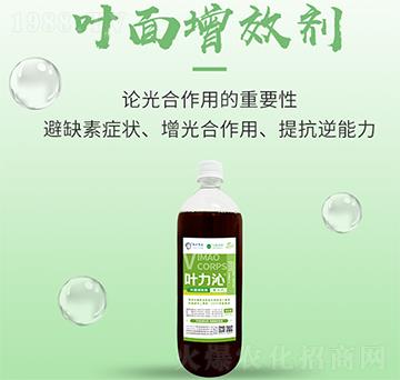 �~����Ч��-�~����-���S����