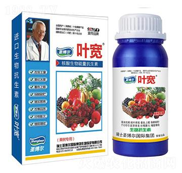 ���䌣���~���-��������ø�T����-�~��-ʥ��������