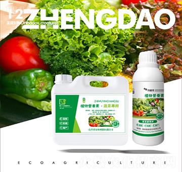 �߲ˌ���ֲ��I�B(y��ng)��-��������