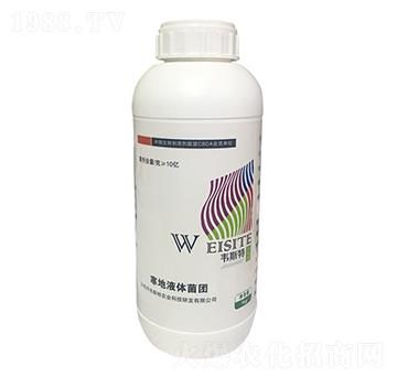 ����Һ�w���F-�f˹��-���r(n��ng)�I(y��)