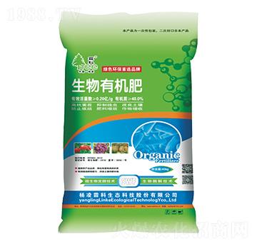 �����ЙC(j��)��-�����ؿ�