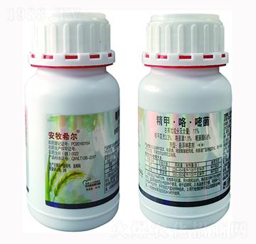 11%���ס������׾�-�d���r�I(y��)