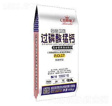 ������͏ͺϠI�B(y��ng)���Ԅ���-�^�������}-ؐ�W�R