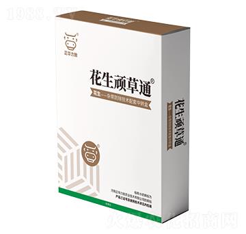 �����B��ͨ-���A����